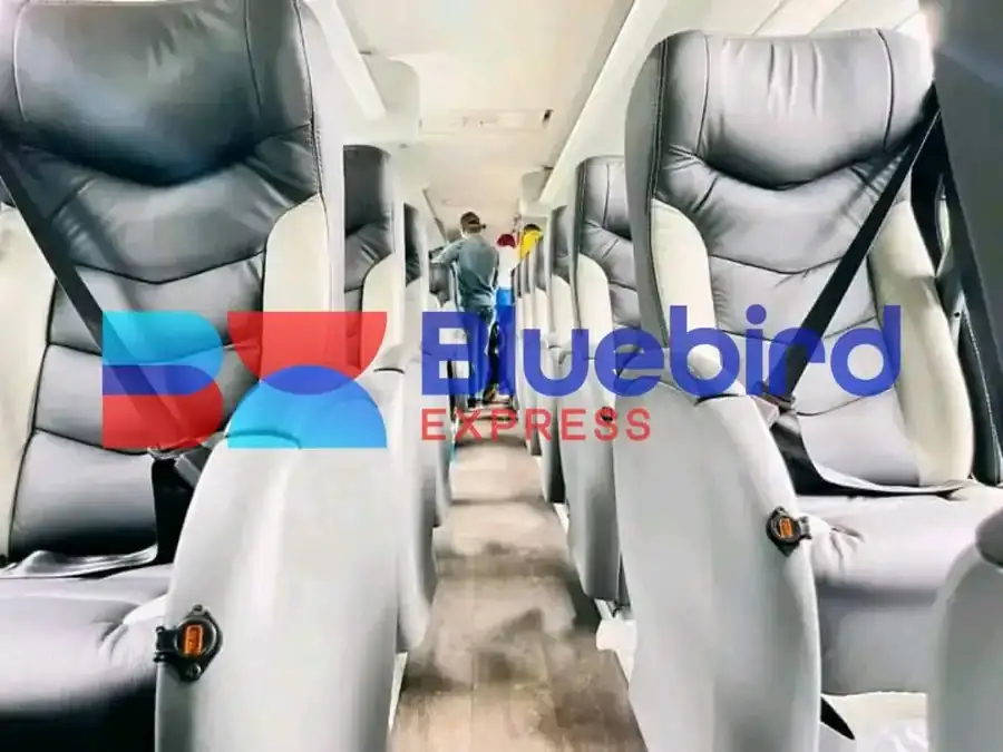 Intérieur confortable d'un autocar Bluebird Express